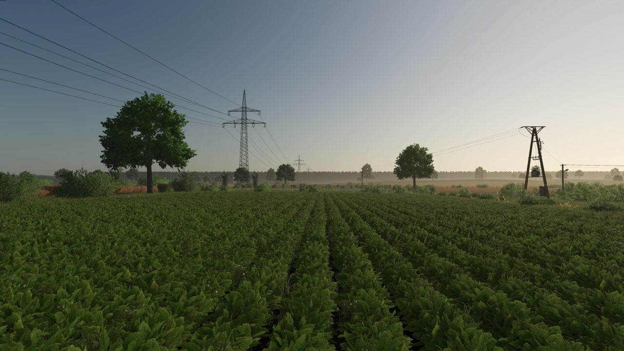 Kotowo image 3